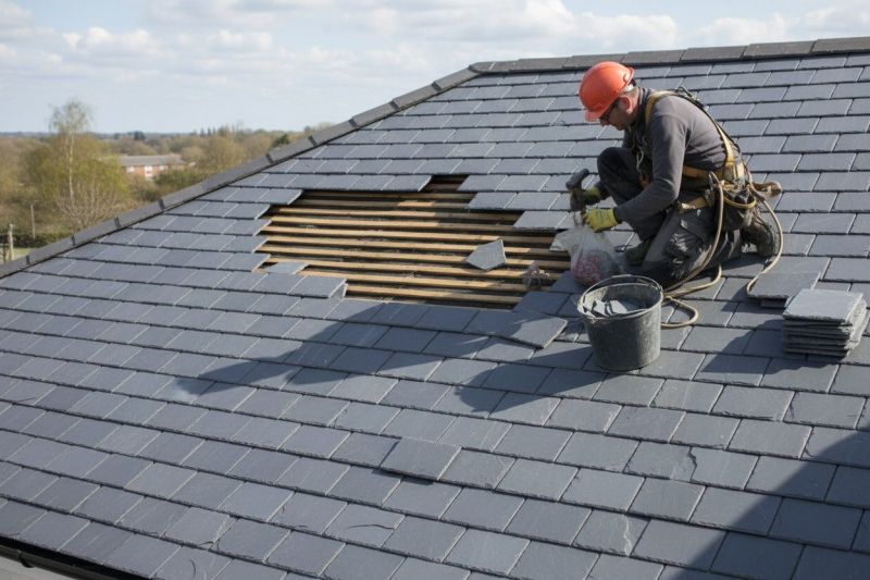 What To Expect During A Professional Natural Slate Roof Repair